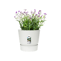 greenville round 20cm white